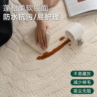 轻奢高级感沙发地垫大面积卧室房间脚垫简约家用垫子 客厅地毯新款