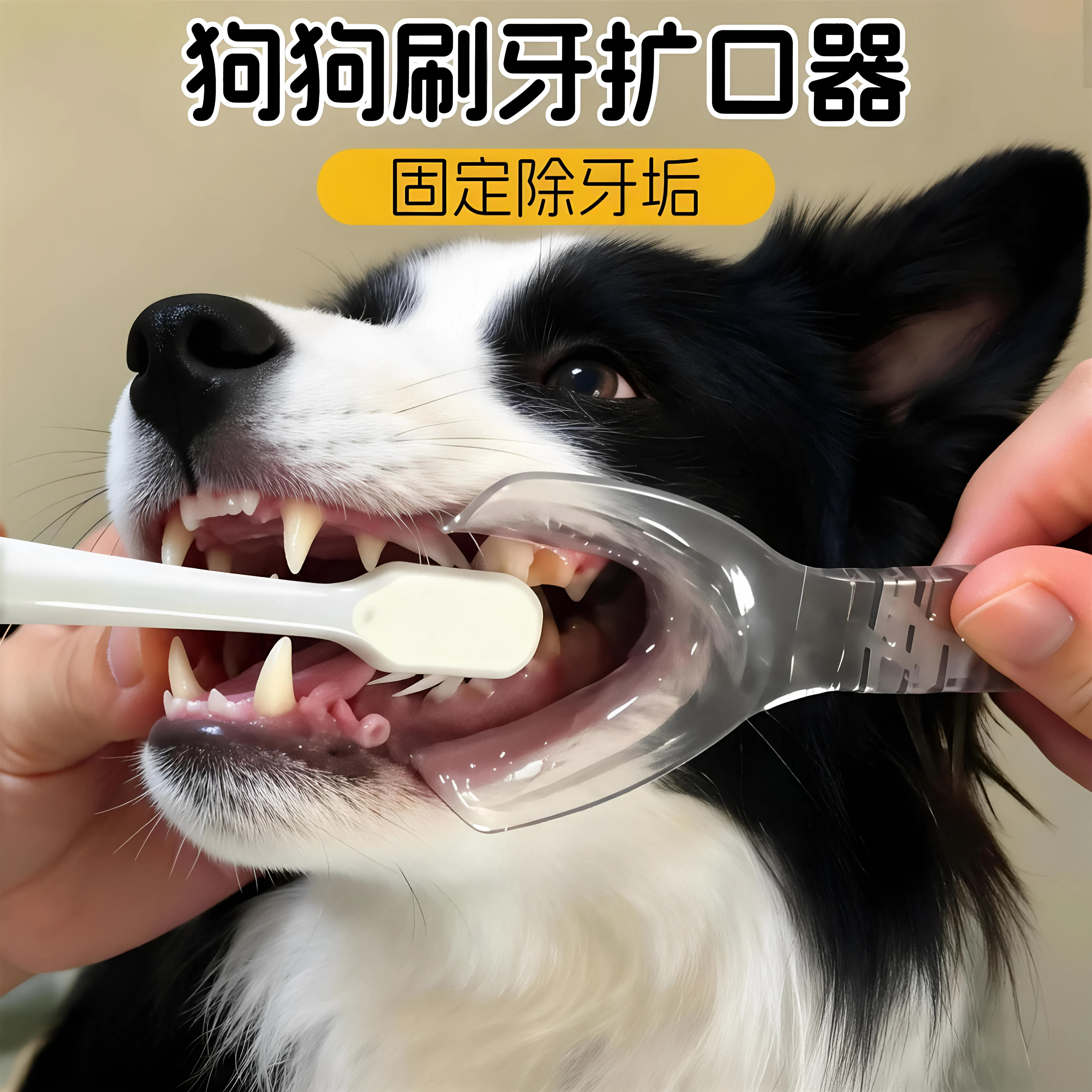 猫狗刷牙开口器耐高温易清洗