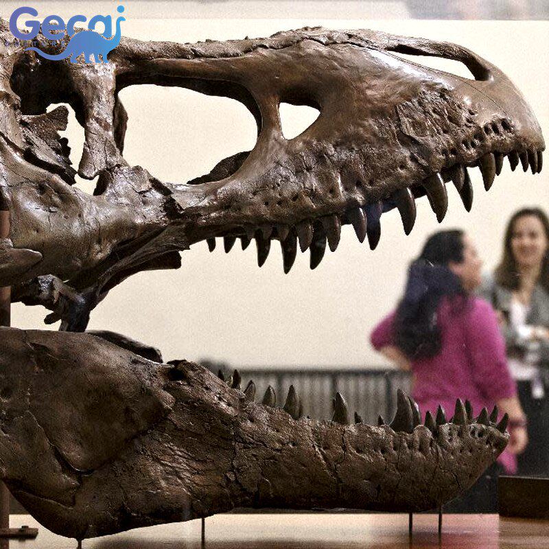 大型仿真恐龙骨骼化石模型博物馆科普馆展览玻璃钢恐龙雕塑厂家