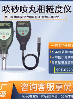 SRT-6223+手持式粗糙度测量仪喷砂喷丸粗糙度仪印刷用锚纹仪