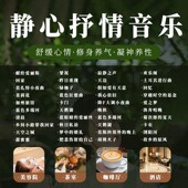 轻音乐U盘歌曲 古典高音质古筝餐厅钢琴曲纯音乐茶室休闲车载优盘