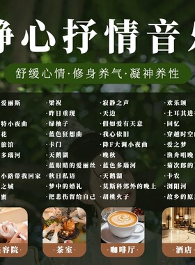 轻音乐U盘歌曲 古典高音质古筝餐厅钢琴曲纯音乐茶室休闲车载优盘