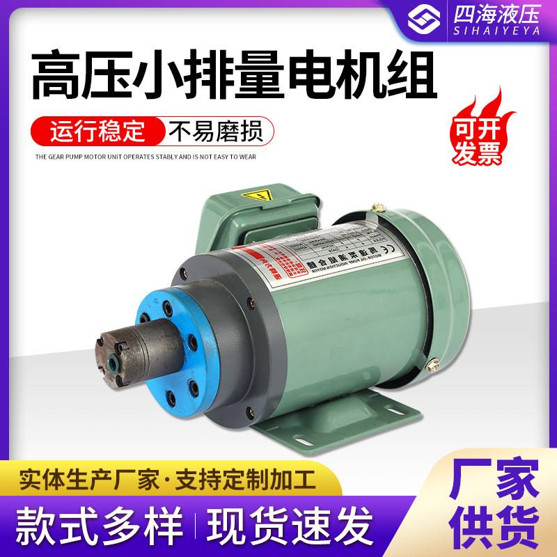 高压小排量电机组 油泵电机组 锯床齿轮泵电机组 非标小排量来图