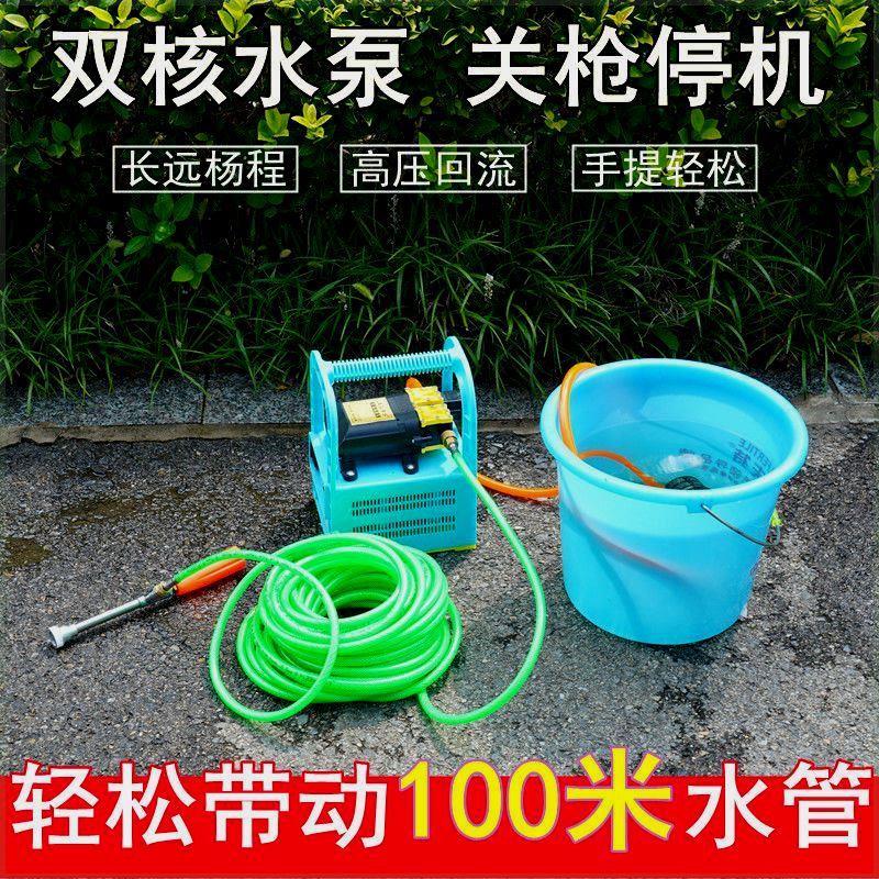 手提式电动喷雾器多功能农用高压果树打药抽水机洗车大功率双泵机