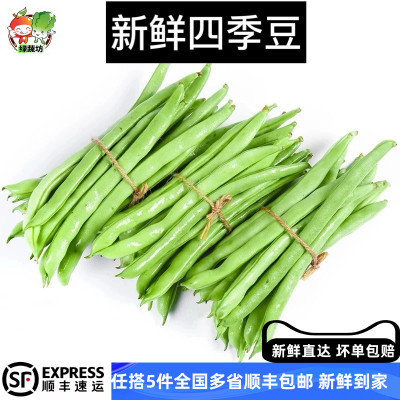 云南新鲜四季豆筋豆蔬菜芸豆扁豆刀豆应季豆角500g