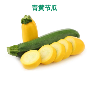 新鲜青黄节瓜青黄西葫芦新鲜蔬菜炒菜煲汤食材新鲜茄瓜蕉瓜沙拉