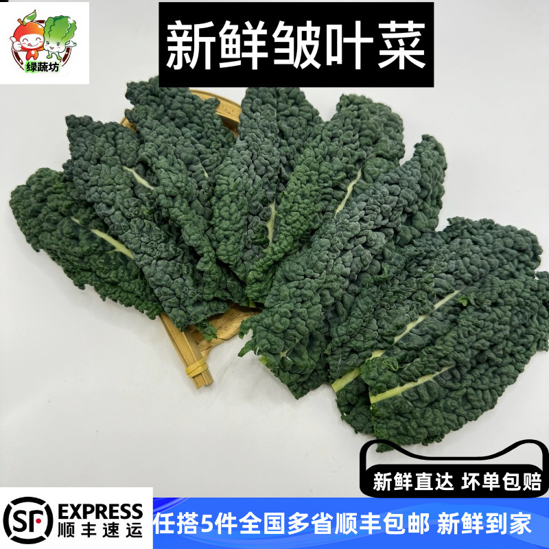 【绿蔬坊】新鲜皱叶菜绿色蔬菜 口感软糯香甜250g