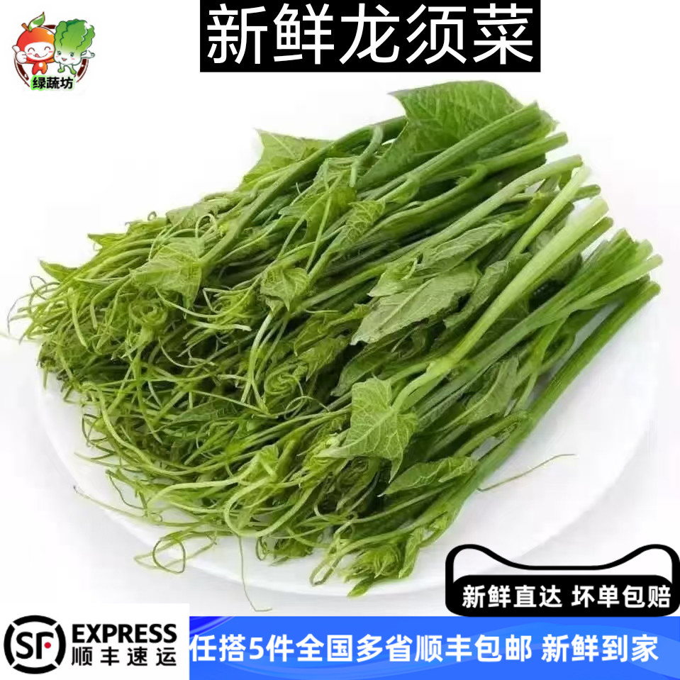 新鲜龙须菜新鲜蔬菜丝瓜尖佛水瓜尖洋瓜尖应季食用酒店特菜500克