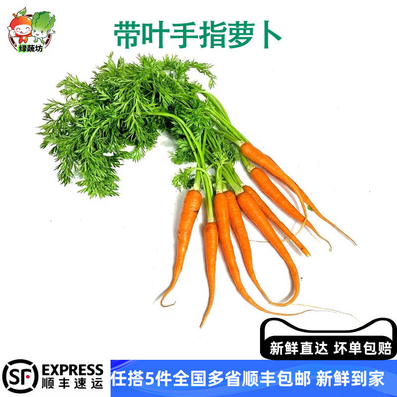 带叶手指胡萝卜水果胡萝卜新鲜蔬菜沙拉色拉食材配菜小胡萝卜迷你,水产肉类/新鲜蔬果/熟食,萝卜/胡萝卜,淘宝优惠券,粉丝福利购,淘宝优惠卷
