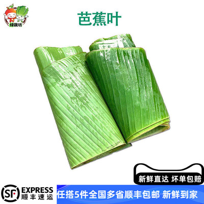 新鲜芭蕉叶端午农家现摘香叶