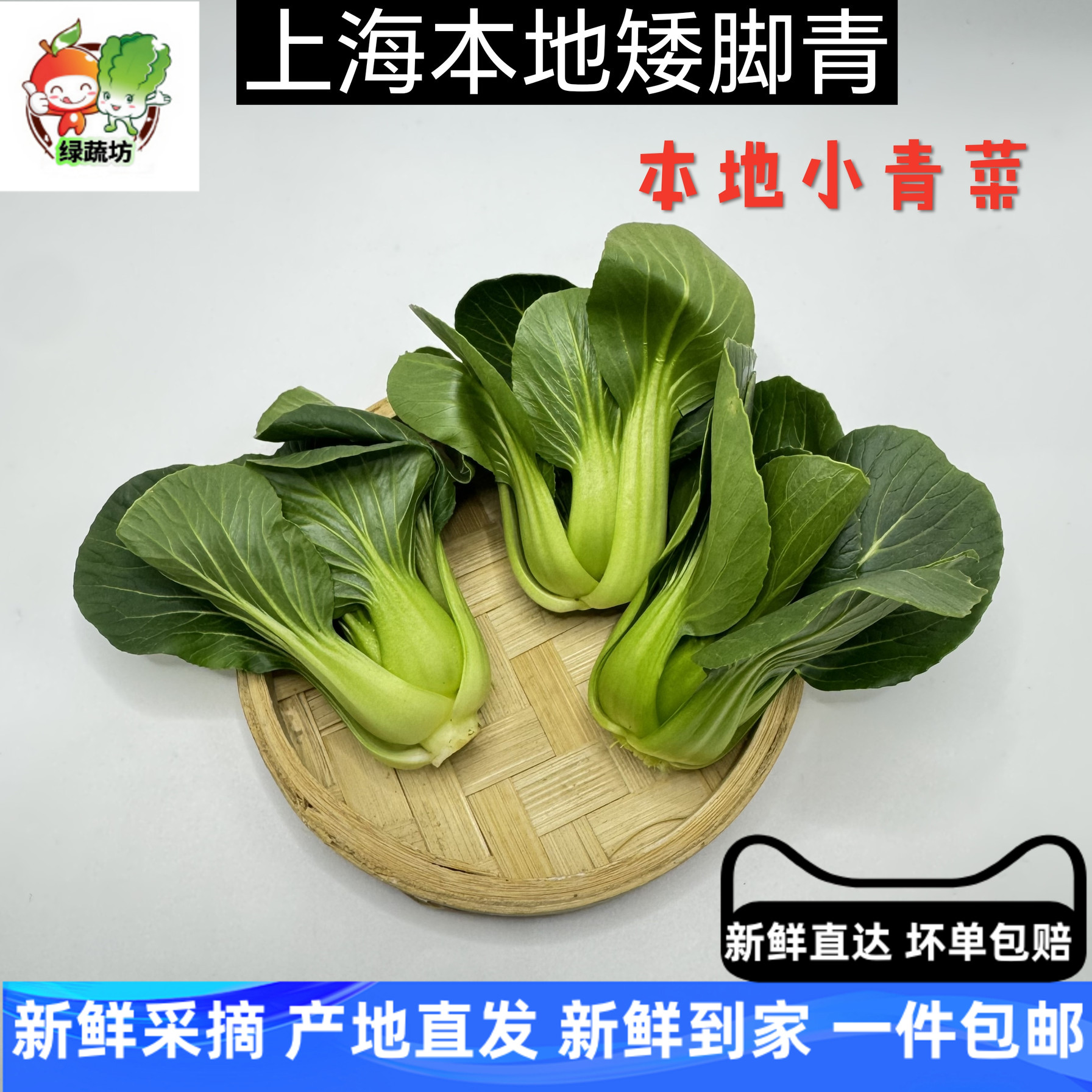 新鲜小青菜上海青跟矮脚菜  新鲜本地青菜蔬菜500g