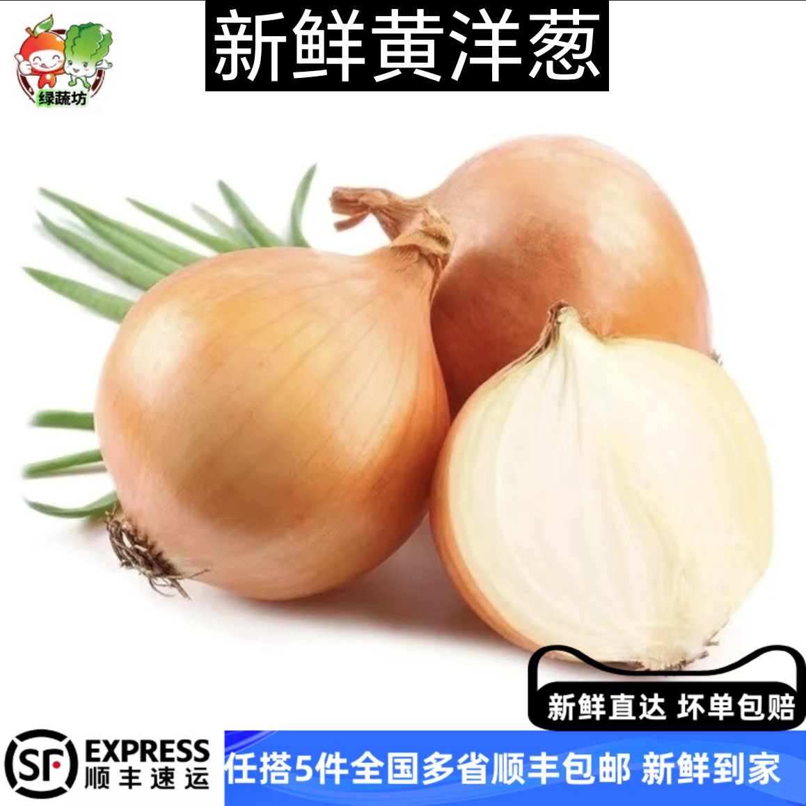 【绿蔬坊】黄洋葱500g 白洋葱圆葱头蔬菜新鲜农家自种包邮