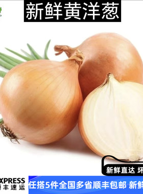 【绿蔬坊】黄洋葱500g 白洋葱圆葱头蔬菜新鲜农家自种包邮