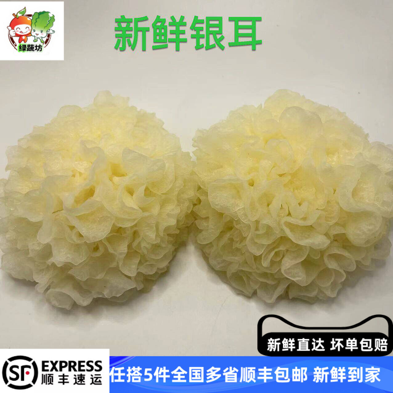 新鲜银耳白木耳鲜雪耳非干货古田糯银耳莲子羹3朵盒装活银耳500g