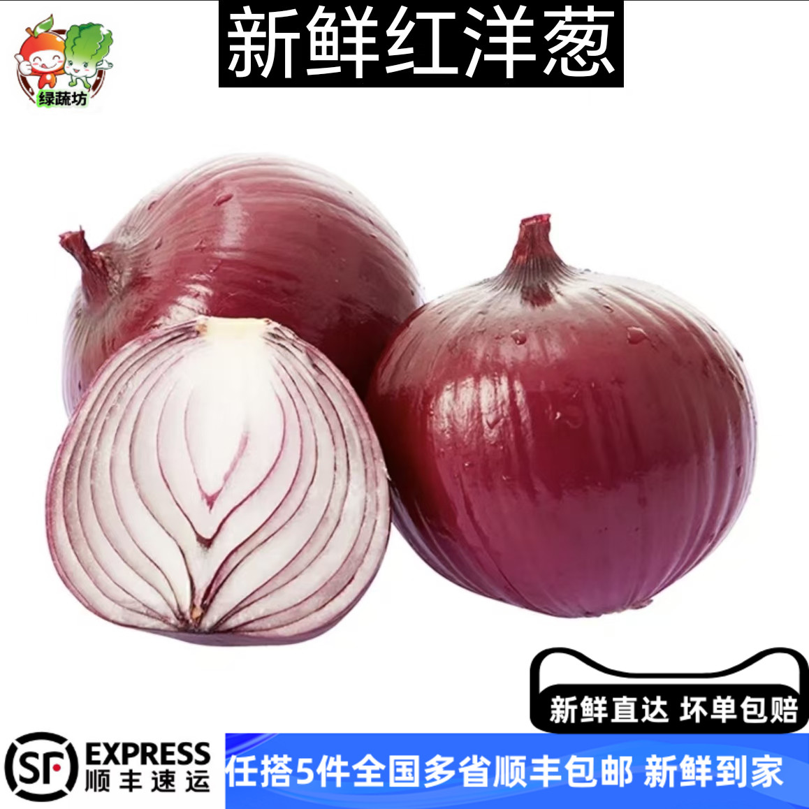 【绿蔬访】新鲜红洋葱 1000g(2斤装)洋葱头