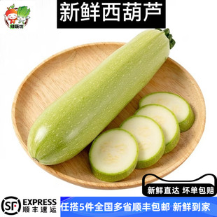 美洲南瓜 西葫芦 番瓜 1000g 菜瓜 绿蔬访 新鲜蔬菜新鲜