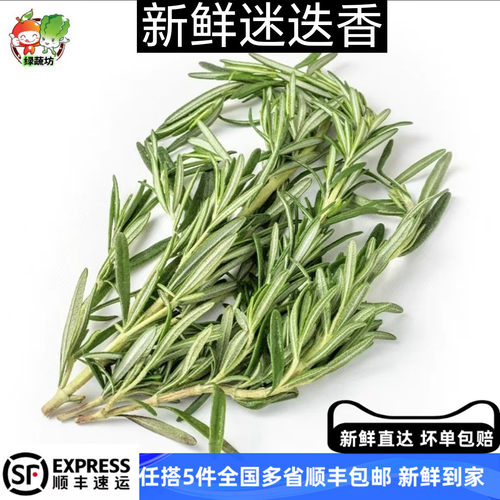 新鲜迷迭香250g 迷失迷迪香烧烤烘焙调料西餐煎牛排食用香料配料