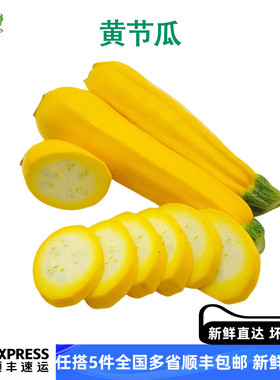 意大利新鲜黄节瓜青蕉瓜黄蕉瓜黄色葫芦西餐蔬菜沙拉生菜即食水果