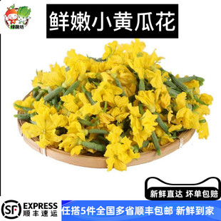 小黄瓜花新鲜迷你青瓜花苗顶花酒楼西餐精品蔬菜特产250g