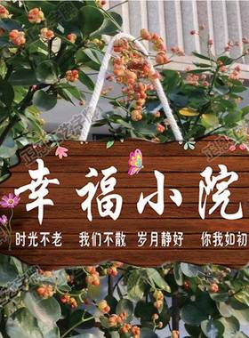 吾家小院挂牌门牌定制创意个性招牌复古风民宿客栈装饰挂件
