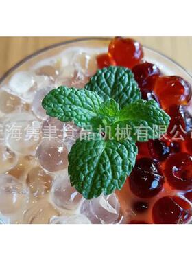 全自动琥珀晶球设备 提供蒟蒻晶球成型生产线 上海制造