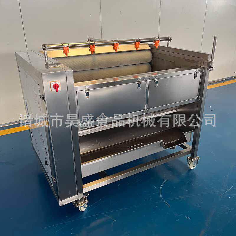 商用卜留克清洗去皮机全自动螺旋毛辊去皮机商用马蹄清洗脱皮机