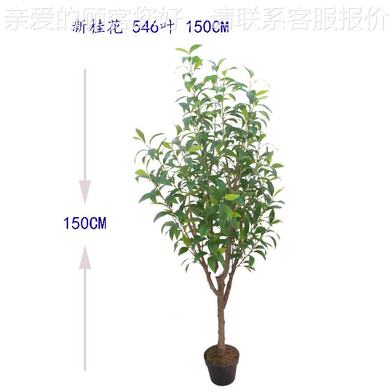 仿植物新桂花树绿29174盆栽桂树桂花叶月园林造景室内摆植放盆真