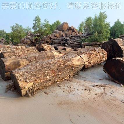 工供应大量南美胡桃材木 琥珀木  厂雨木原木56板 加工胡桃木