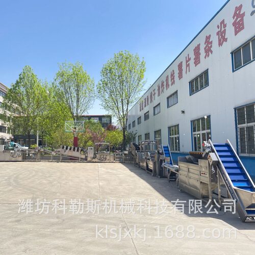 薯片薯条加工线 休闲食品加工生产线 定制全自动速冻薯条流水线