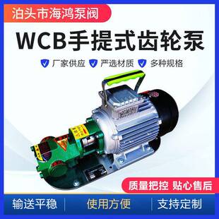 WCB手提式齿轮泵微型不锈钢手提式齿轮泵便携式输送泵WCB齿轮泵