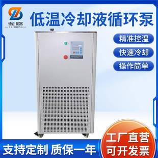 DLSB系列低温冷却液循环泵夹套设备制冷真空泵可接旋转蒸发仪