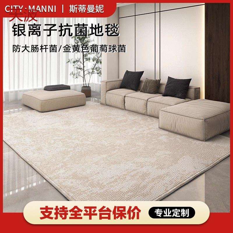 Kka2024客厅地毯耐脏免洗家用高级卧室可擦床边轻奢简约沙发茶几