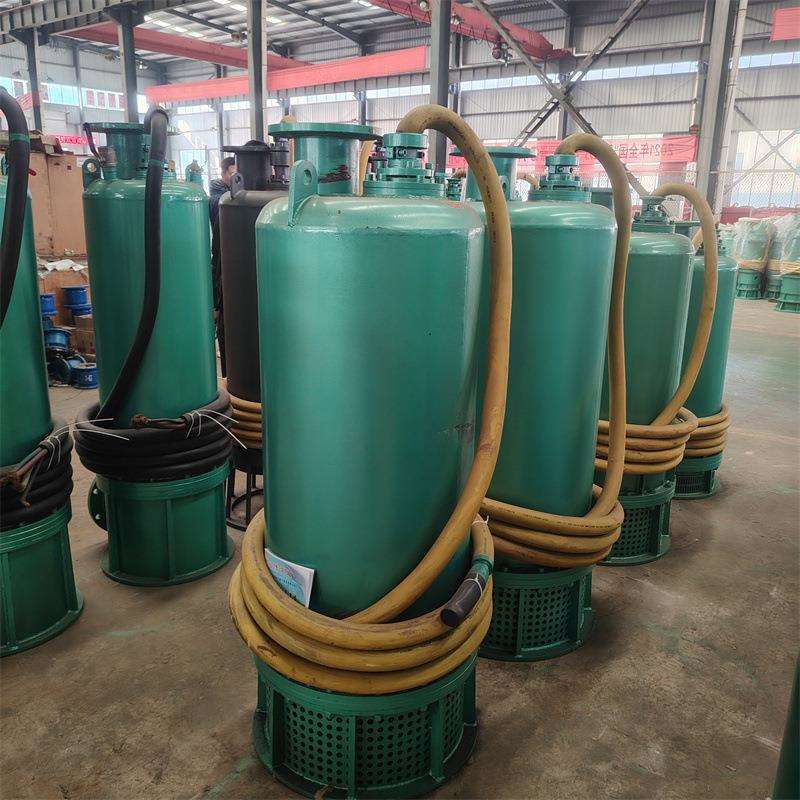 防爆潜水排沙泵 BQS200-45-45KW矿用隔爆型潜水排沙电泵660v1140V