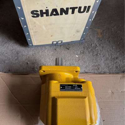 1455-62Y-01000L55-B5工作泵