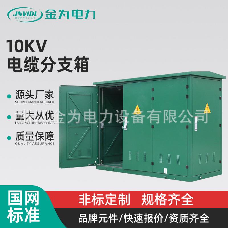 电缆分支箱10KV欧式电缆分支箱不锈钢电缆铜排分支箱成套开闭所