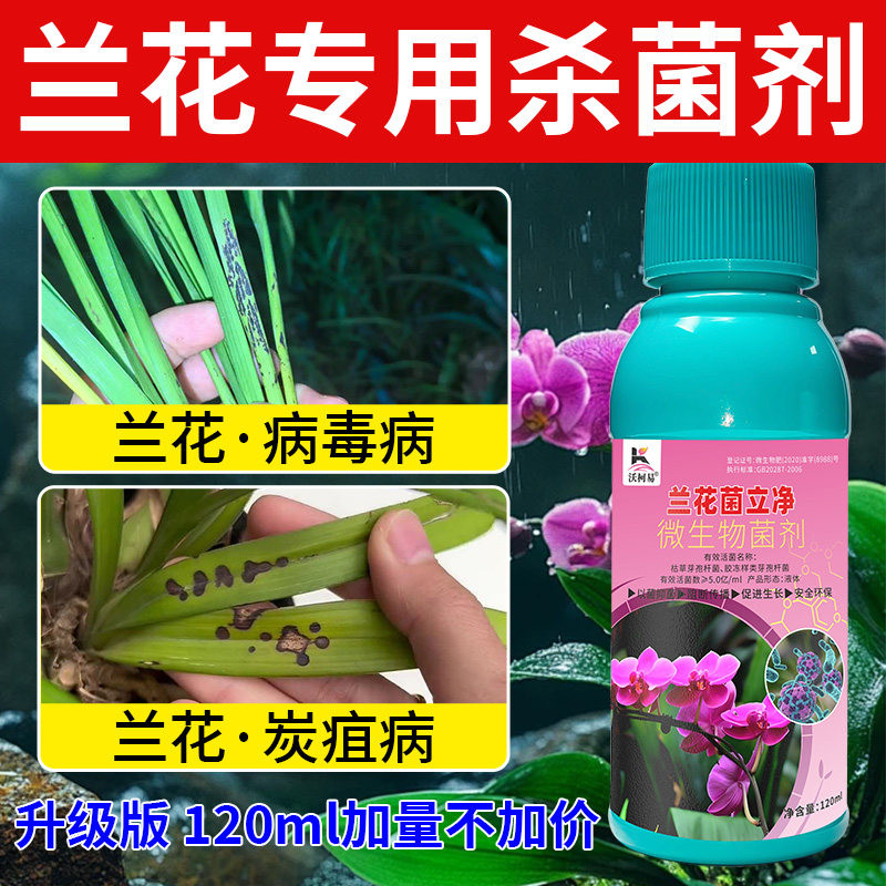 沃柯易兰花菌立净防治病害促成长