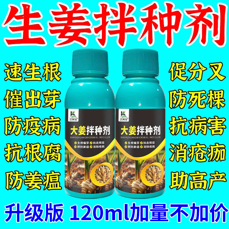 沃柯易生姜拌种剂提高种苗成活率