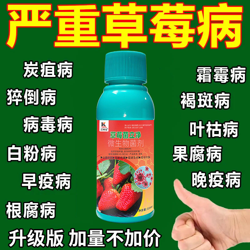 沃柯易草莓菌立净防治病害促成长