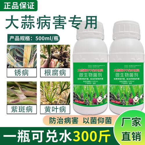 大蒜专用药 大蒜叶枯病锈病黄叶干尖病毒病专用大葱蒜苗通用型