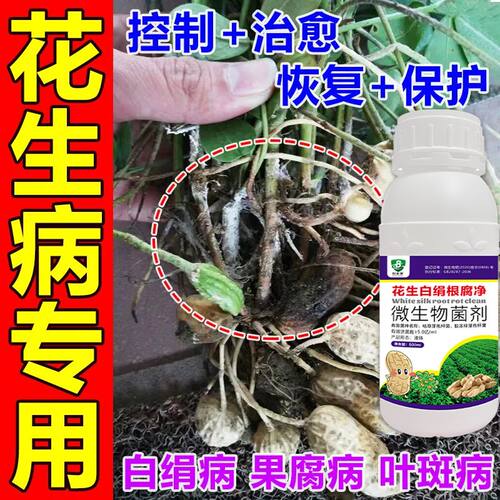 花生白绢病叶斑青枯病专用药花生不落叶不早衰下针多保叶增产