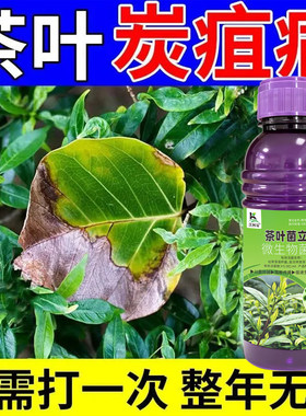 茶树病全治专用杀菌剂卷叶黄叶茶饼病黑星病芽枯叶斑病正品农用肥