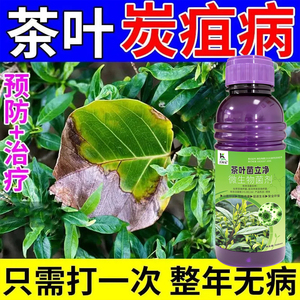 茶树病全治专用杀菌剂卷叶黄叶茶饼病黑星病芽枯叶斑病正品农用肥