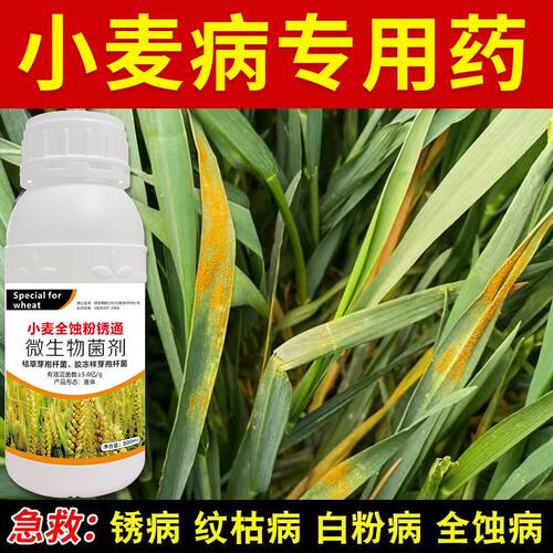 小麦杀菌剂专用白粉病全蚀根腐病全治纹枯病赤霉病锈病黑穗病正品