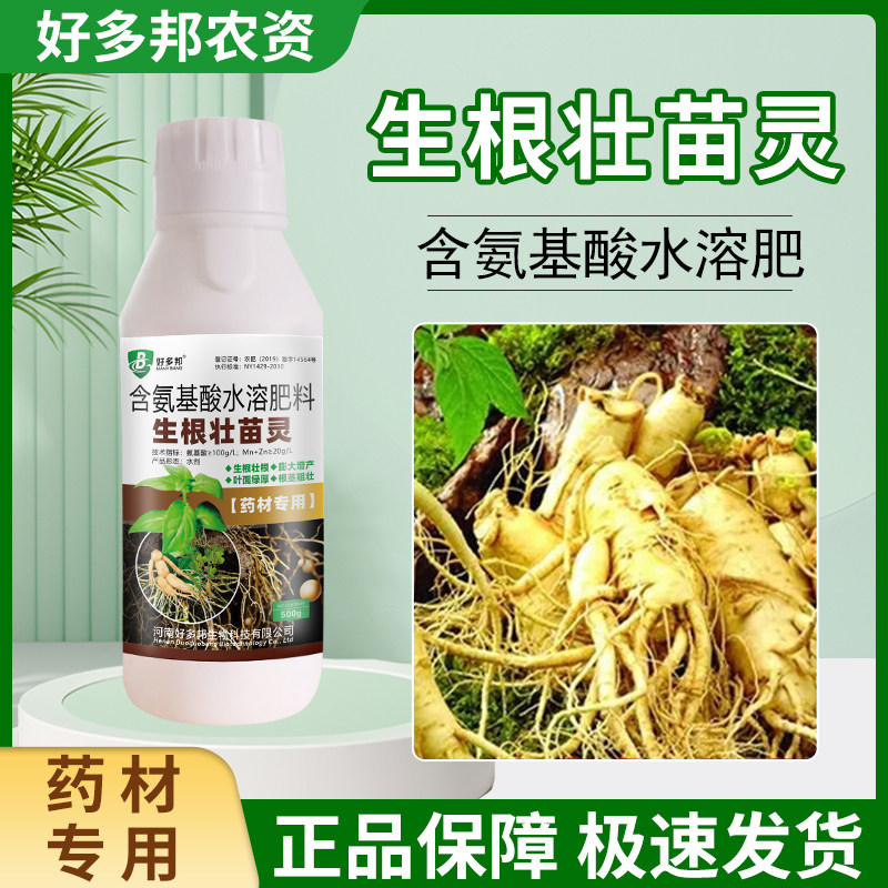 药材种植生根壮苗人参当归白芷地黄金银花等专用药材根苗旺