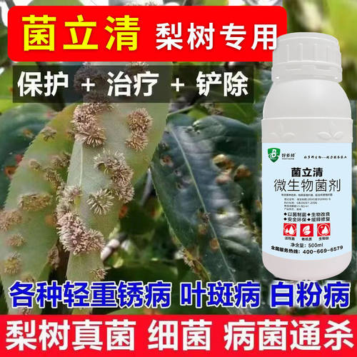 梨树病全管病菌清梨锈病专用药