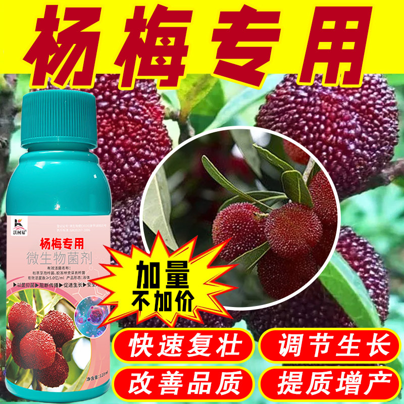 沃柯易杨梅菌立净防治病害促成长