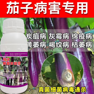 茄子专用药茄子叶枯病黄萎病炭疽病灰霉病白粉病茄子专用杀菌剂