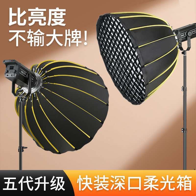 300W直播补光灯室内影棚拍照led摄影灯球形深抛柔光箱金属摄影灯