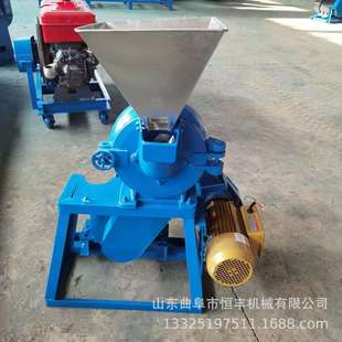 毛姜土豆生姜打浆机 果干陈皮蛋壳贝壳海鲜皮磨粉机 玉米渣打粉机