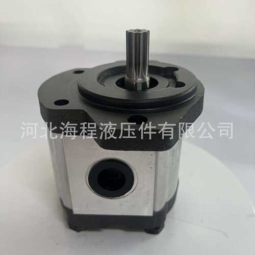凯斯帕 9 键单联泵 CASAPPA PLP20 13, 5D0-03S1-LOD/OC-N-FL-AV